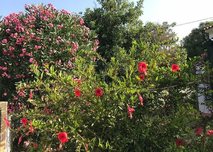 Riva * Carvoeiro (Lagoa)